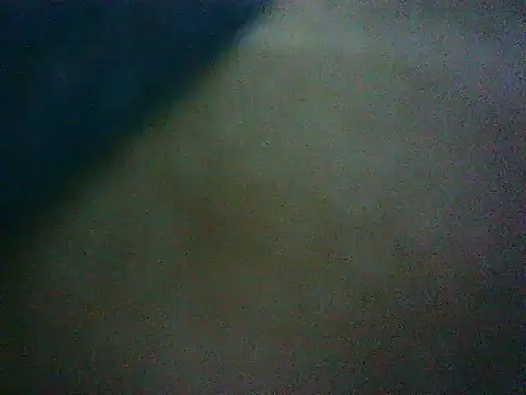 mumbi91 online show from 16, 1, 2025