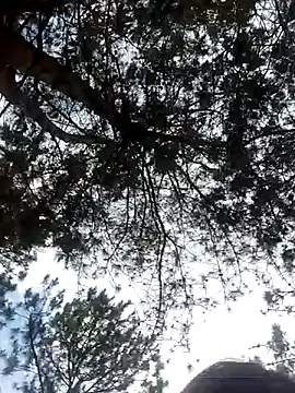 Sofia xx2 online show from 27, 2, 2025