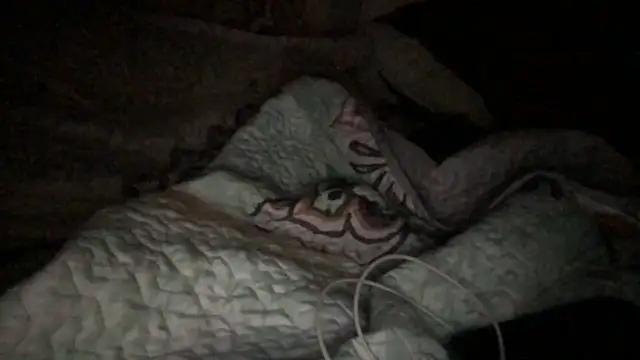 Snapshot of loveofbea chatting on 23, 10, 2025 loveofbea online show from 23, 10, 2025