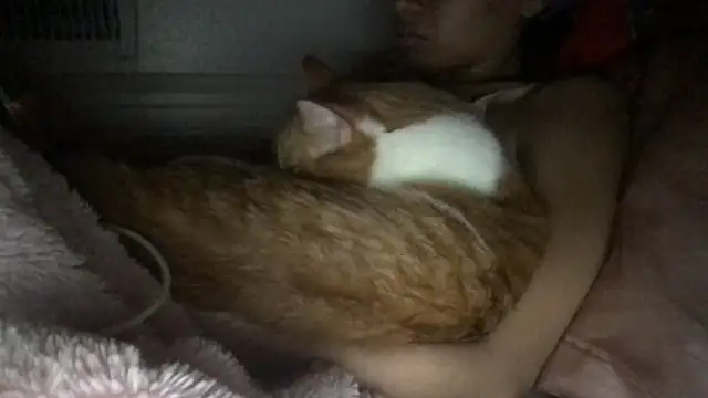 loveofbea online show from 8, 3, 2026