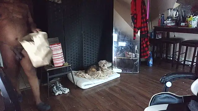 bigshh8 online show from 11, 1, 2026