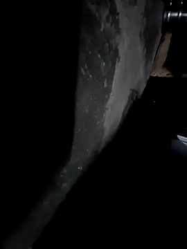 sandip-bhai online show from 25, 12, 2024