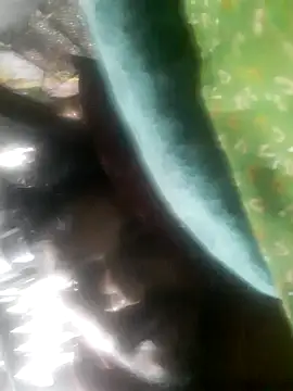 sandip-bhai online show from 21, 11, 2025