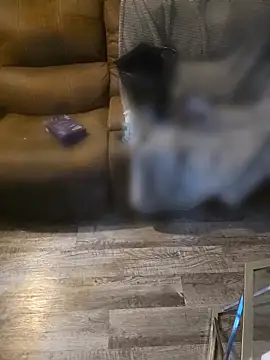 southwestbby online show from 22, 3, 2026