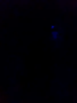 Snapshot of dotado20robson chatting on 16, 2, 2026 dotado20robson online show from 16, 2, 2026