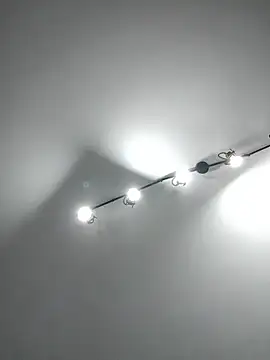 Meriozoro online show from 5, 11, 2025