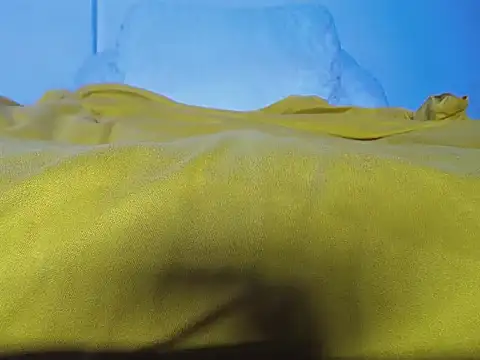 Snapshot of GerardSmitt chatting on 24, 10, 2025 GerardSmitt online show from 24, 10, 2025