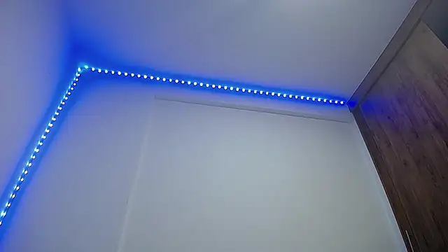 Snapshot of GerardSmitt chatting on 8, 11, 2025 GerardSmitt online show from 8, 11, 2025