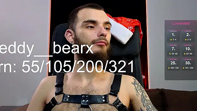 xteddy bear online show from 25, 12, 2024