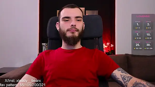 xteddy bear online show from 28, 12, 2024