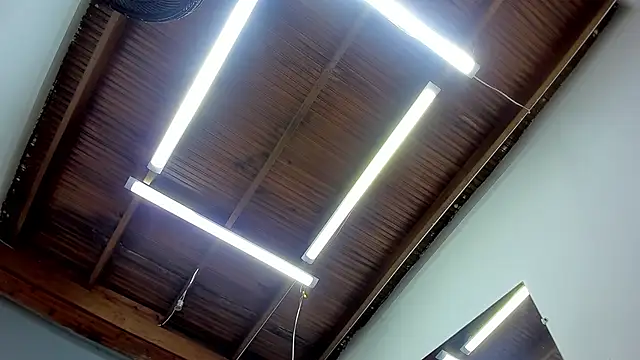 Snapshot of esteban_cor chatting on 22, 1, 2025 esteban cor online show from 22, 1, 2025