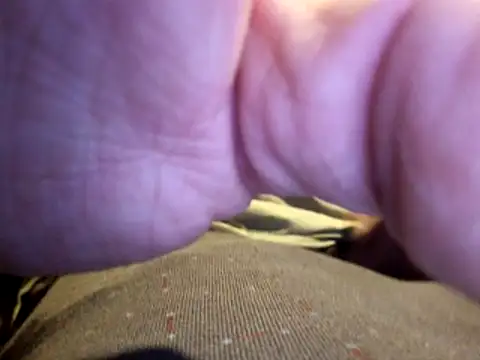 stavroun online show from 23, 12, 2025