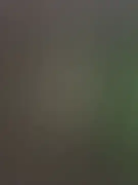 palomamoraid online show from 20, 12, 2024