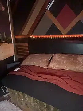 Snapshot of HandyBro chatting on 2, 3, 2026 HandyBro online show from 2, 3, 2026