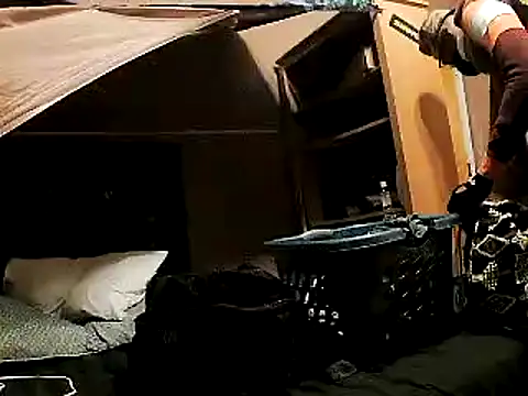 JdLove1 online show from 2, 12, 2024