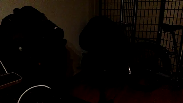 JdLove1 online show from 10, 12, 2024