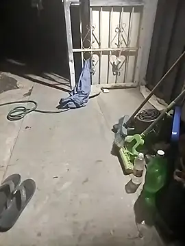 SheandDog online show from 11, 12, 2024