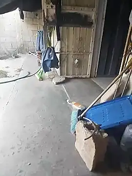 SheandDog online show from 18, 12, 2024