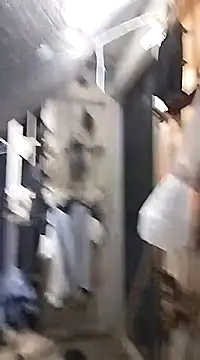 SheandDog online show from 18, 12, 2024