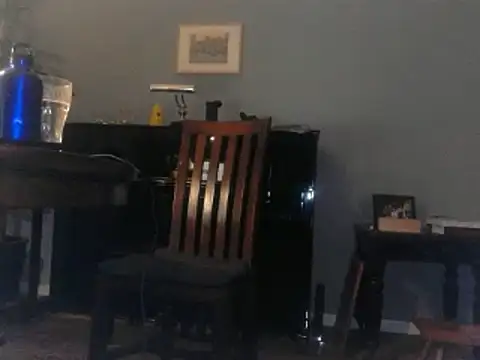 Snapshot of RolfS chatting on 20, 1, 2025 RolfS online show from 20, 1, 2025