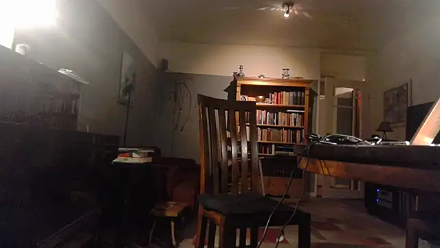 Snapshot of RolfS chatting on 30, 9, 2025 RolfS online show from 30, 9, 2025