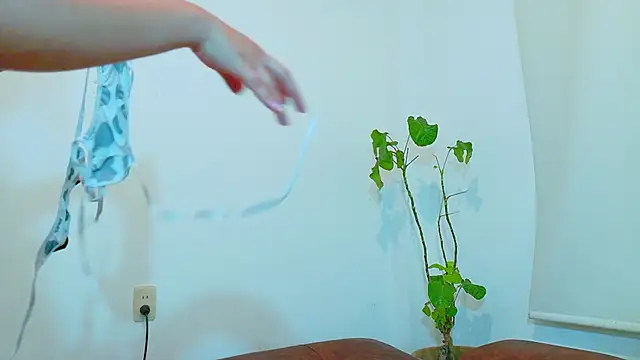 clydexxxbunny online show from 7, 12, 2024