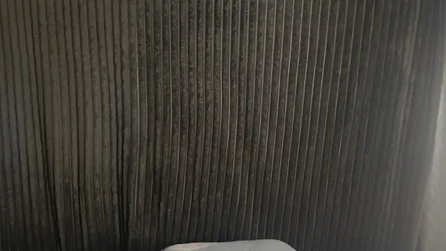 1BECHA1 online show from 10, 11, 2025