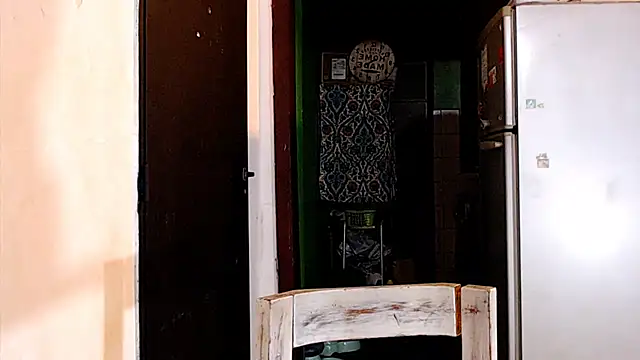 Snapshot of SusiDream chatting on 23, 3, 2025 SusiDream online show from 23, 3, 2025