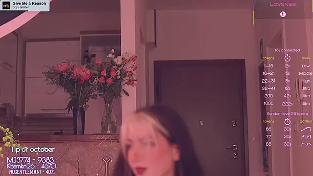 Virtual Wafu online show from 2, 11, 2025