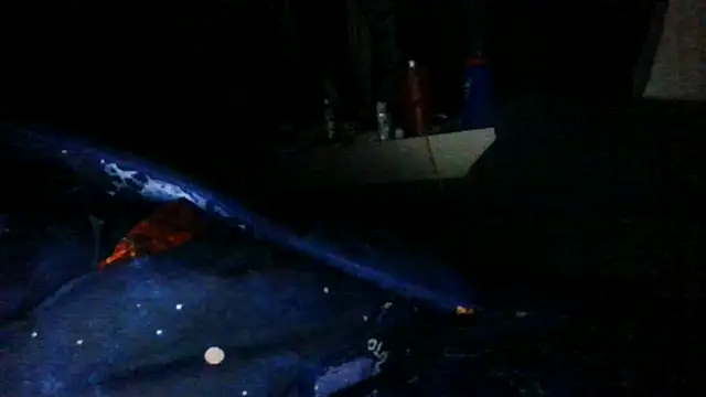 toast843 online show from 9, 2, 2025