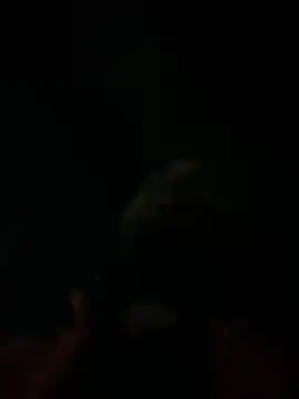 Snapshot of Rastamanzigy22 chatting on 12, 2, 2026 Rastamanzigy22 online show from 12, 2, 2026