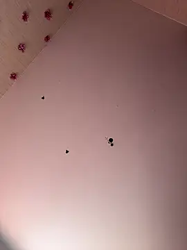 -Sexy Barbie- online show from 27, 12, 2024