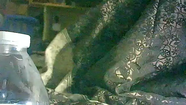 Snapshot of DI4MOND_FIR3 chatting on 17, 3, 2026 DI4MOND FIR3 online show from 17, 3, 2026