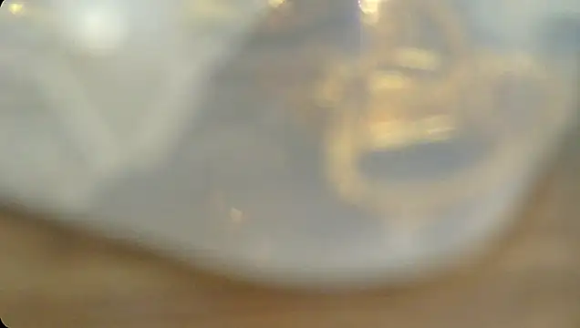 Rashisharma online show from 14, 10, 2025