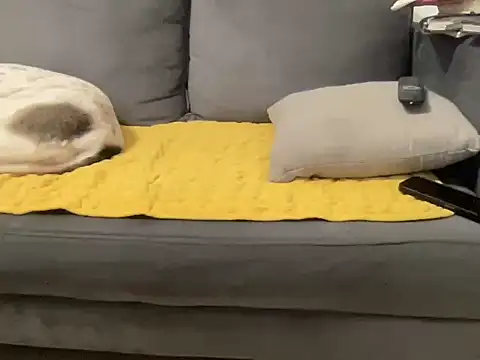 4small4inchlol online show from 10, 1, 2026