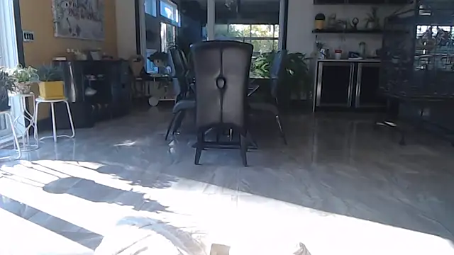 Snapshot of Toy-Daddy chatting on 28, 10, 2025 Toy-Daddy online show from 28, 10, 2025