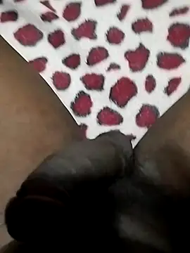 Pua009 online show from 26, 2, 2026