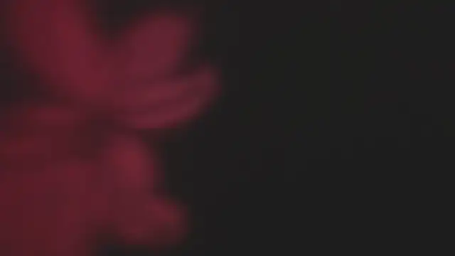 Lola69Rosexxx online show from 2, 2, 2025