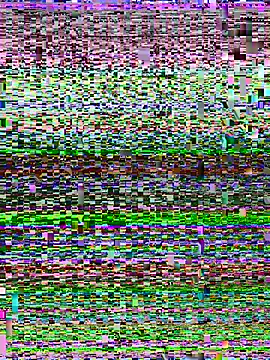 Miss-Soka online show from 11, 1, 2026