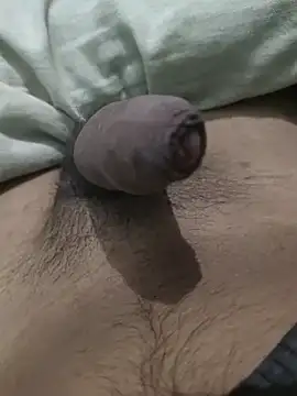 Snapshot of iaparna chatting on 9, 1, 2025 iaparna online show from 9, 1, 2025