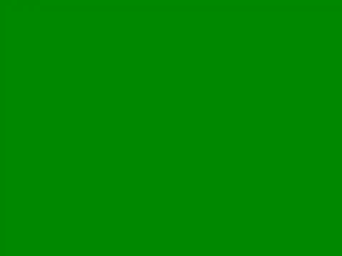 Snapshot of IMENET chatting on 4, 1, 2025 IMENET online show from 4, 1, 2025