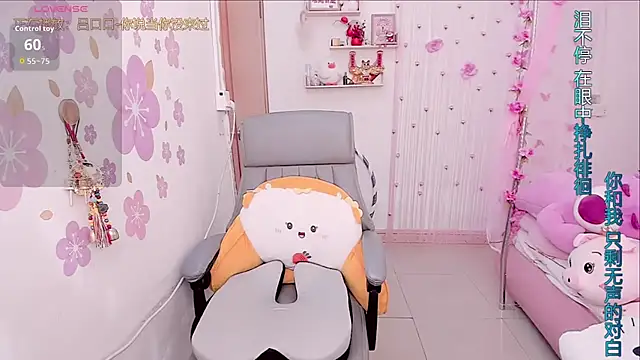 Stylec66 online show from 14, 1, 2026