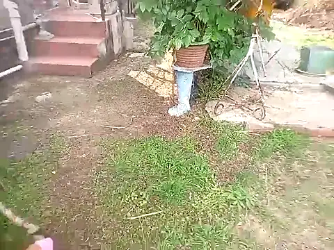 bustybillies online show from 11, 10, 2025