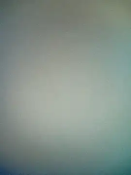 bustybillies online show from 17, 1, 2026