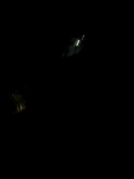 perlita05 online show from 16, 11, 2025