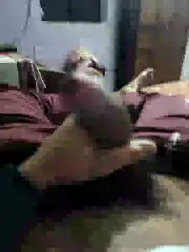 youngbull 21delhi online show from 21, 12, 2024