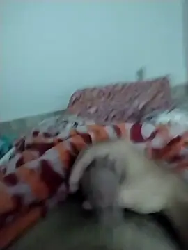 Snapshot of lm279 chatting on 13, 2, 2025 lm279 online show from 13, 2, 2025