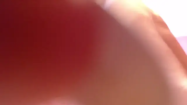 alana storm62 online show from 13, 11, 2025