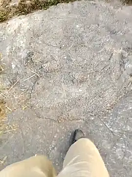 Ishan003 online show from 5, 2, 2026