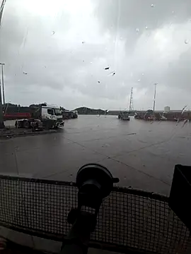 bull Giant online show from 28, 11, 2025